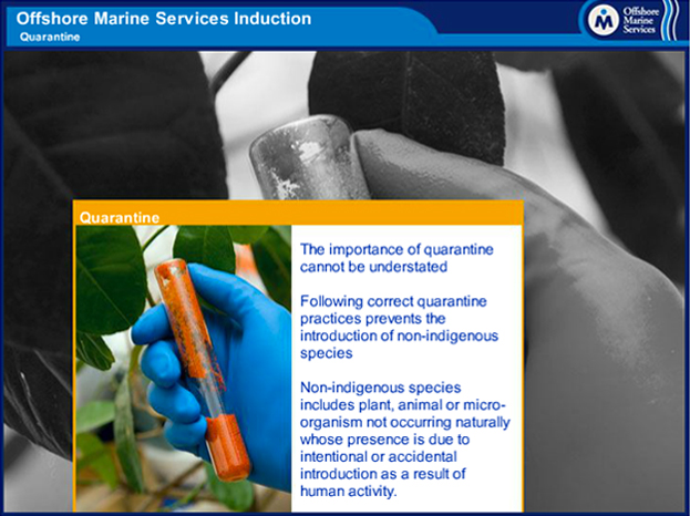 Offshore Marine Services
