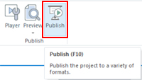 Storyline Publish Button