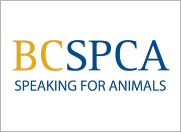 BC SPCA